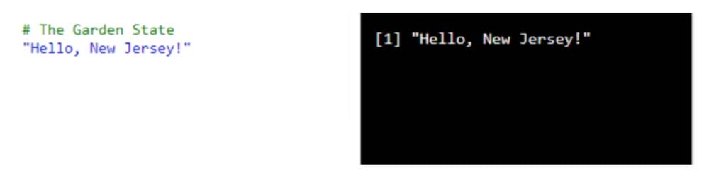 Commenting in R